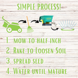 Micro Clover + Mow Less Grass Seed