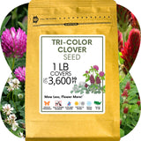 Tri-color clover seed package with flowers in the background