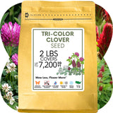 Tri-color clover seed packet with a background of clover plants