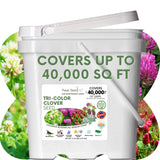 White bucket of Flawn Seed Tri-Color Clover Seed with clover plants in the background