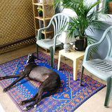Dog lying on a colorful Turkish Blue rug in a room with chairs and plants