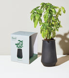 Basil plant in a dark pot with its packaging on a light background Tapered Tumbler Grow Kits
