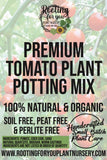 Advertisement for premium tomato plant potting mix with text and branding.
