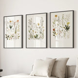 Three framed botanical prints on a wall above a sofa with pillows.