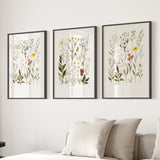 Three framed botanical prints on a wall above a sofa with pillows.