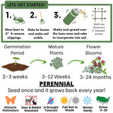 Step-by-step guide for lawn care with icons and text on a white background