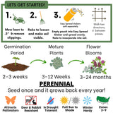 Gardening guide with steps for starting a lawn and information on plant growth stages.