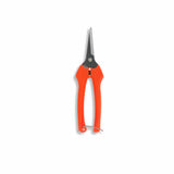 Orange-handled pruning shears on a white background