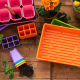 Gardening tools and supplies including trays, pots, and soil on a wooden surface.