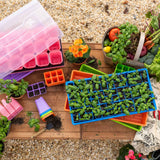 Gardening tools and seedlings on a wooden surface