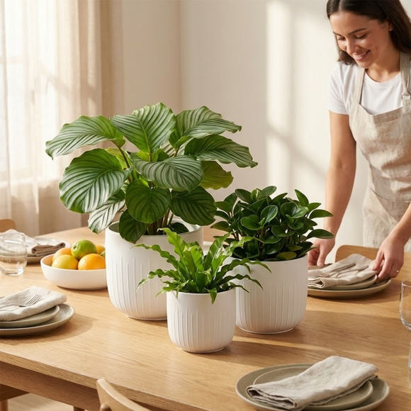 Woman arranging plants on a table in a bright room with 3-Piece White Stoneware Planter Pot Set with Vertical Groove Texture