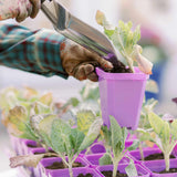 Person planting a small plant into a purple pot with a blurred garden background 3.3" Heavy Duty Seed Starting Pots with Inserts