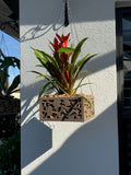 6" Vina Indoor / Outdoor Planter Hanging Basket