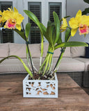 6" Vina Indoor / Outdoor Planter Hanging Basket