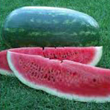 Whole watermelon and slices on a grassy background WATERMELON Seeds, Black Diamond