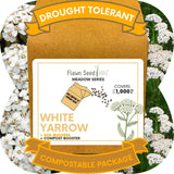 White Yarrow Eco-Friendly Seeding Kit