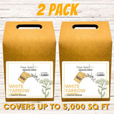 White Yarrow Eco-Friendly Seeding Kit
