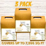 White Yarrow Eco-Friendly Seeding Kit