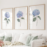 Three framed prints of blue hydrangeas on a wall above a white sofa.