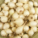 Close-up of a pile of white onions