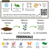 White Yarrow Eco-Friendly Seeding Kit