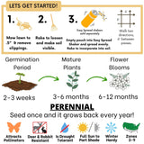 White Yarrow Seed Pouch
