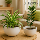 Two potted plants on a table with 2-Piece White Plastic Planter Bowls – Modern Minimalist Design indoor setting, featuring the Florinia brand.