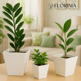 Three potted plants in 3-Piece White Plastic Square Planter Pot Set – Modern Tapered Design on a table with a blurred living room background, featuring the brand 'FLORINIA'.