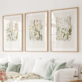 Three framed botanical prints on a wall above a white sofa.