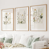 Three framed botanical prints on a wall above a white sofa.