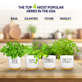 Four white ceramic herb pots labeled Basil, Thyme, Cilantro, and Parsley with green herbs, displayed on a wooden table with a blurred kitchen background and the text 'THE TOP 4 MOST POPULAR HERBS IN THE USA' above.