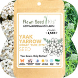 Yaak Yarrow 'Turf-Type' Seed