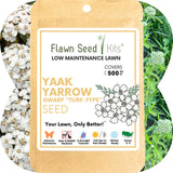 Yaak Yarrow 'Turf-Type' Seed