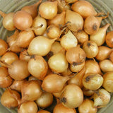 Close-up of a pile of small onions on a green surface