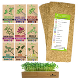 Collection of microgreens seed packets and a small种植槽 with sprouted microgreens on a white background.