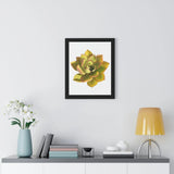 Noble Aeonium Succulent Framed Print – Botanical Wall Art