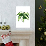 Philodendron Cream Splash Botanical Print – Unframed Wall Art