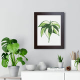 Philodendron Cream Splash Framed Print – Botanical Wall Art