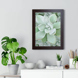 Pachyveria Haagei Succulent Pattern Framed Print – Botanical Wall Art