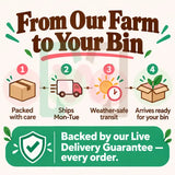 Living Material + Red Wiggler Composting Worms Eisenia andrei