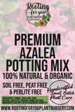 Advertisement for premium azalea potting mix with pink flowers in the background