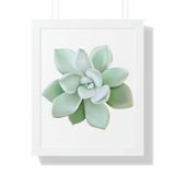 Pachyveria Haagei Succulent Framed Print – Botanical Wall Art