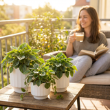 Woman sitting on a balcony with plants and a book, enjoying a drink 3-Piece White Stoneware Planter Set with Fluted Design