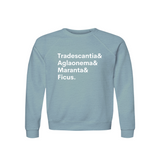 Tradescantia, Aglaonema, Maranta & Ficus Plant Lover Sweatshirt – Organic Cotton Raglan