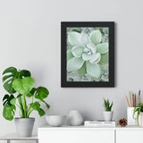 Pachyveria Haagei Succulent Pattern Framed Print – Botanical Wall Art
