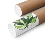 Philodendron Cream Splash Botanical Print – Unframed Wall Art