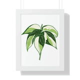 Philodendron Cream Splash Framed Print – Botanical Wall Art