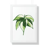 Philodendron Cream Splash Framed Print – Botanical Wall Art