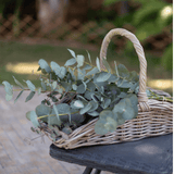 Rattan Garden Trug Basket