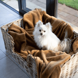 A small fluffy white dog sits in a woven wicker basket bed lined with a warm brown blanket, photographed indoors near glass doors.